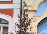 15-12-2018-nas-stromecek-pred-radnici_3.jpg