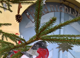 15-12-2018-nas-stromecek-pred-radnici_4.jpg