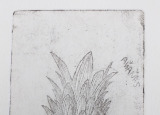 20191021_113446.jpg