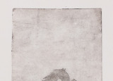 20191021_113725.jpg