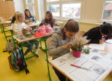 DSCN0655.JPG