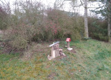IMG_20200309_141621.jpg