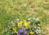 5D21CF39-96E6-4522-947D-C393CA38C6F2.jpeg