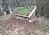 IMG_20200309_142052.jpg