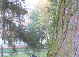 20200930_092346.jpg