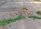 20201001_112554.jpg