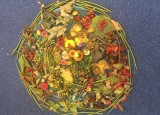 mandala2opr.jpg