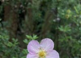 empicl2opr.jpg