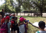 IMG_20210621_103126.jpg
