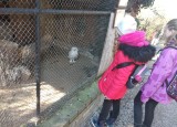 IMG_20220301_121126.jpg