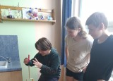 IMG_20220606_115233.jpg
