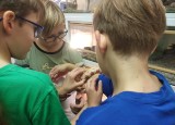 IMG_20221018_142406.jpg