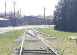 IMG_20230316_154942.jpg