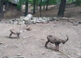 IMG_20230524_102638.jpg