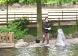 IMG_20230524_105747.jpg