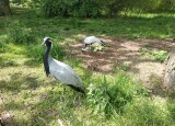 IMG_20230524_130330.jpg