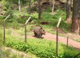 IMG_20230524_111642.jpg