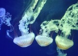 IMG_20230524_101017.jpg