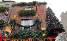 qiv6x3i7a6_____IMG_4128