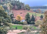 IMG_4279.jpg