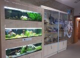 IMG_20240206_102600.jpg