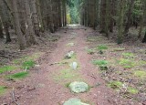 IMG_20241007_095621.jpg