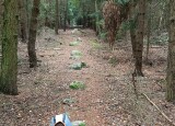 IMG_20241007_095819.jpg
