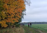 IMG_20241007_083421.jpg