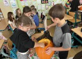 IMG_6083.JPG