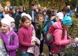 IMG_20241017_111257.jpg