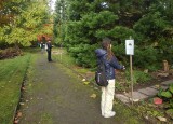 IMG_20241017_095725.jpg