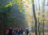 IMG_20241022_095113.jpg