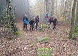 IMG_20241022_095410.jpg