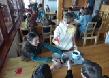 IMG_20250204_093936.jpg