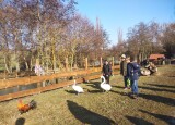 IMG_20250204_114549.jpg