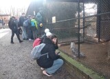 IMG_20250204_120103.jpg