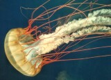 IMG_20250616_144638.jpg