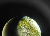 20250925_142959.jpg