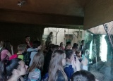 26-04-2018-zoo-plzen-plna-sedmaku_8.jpg