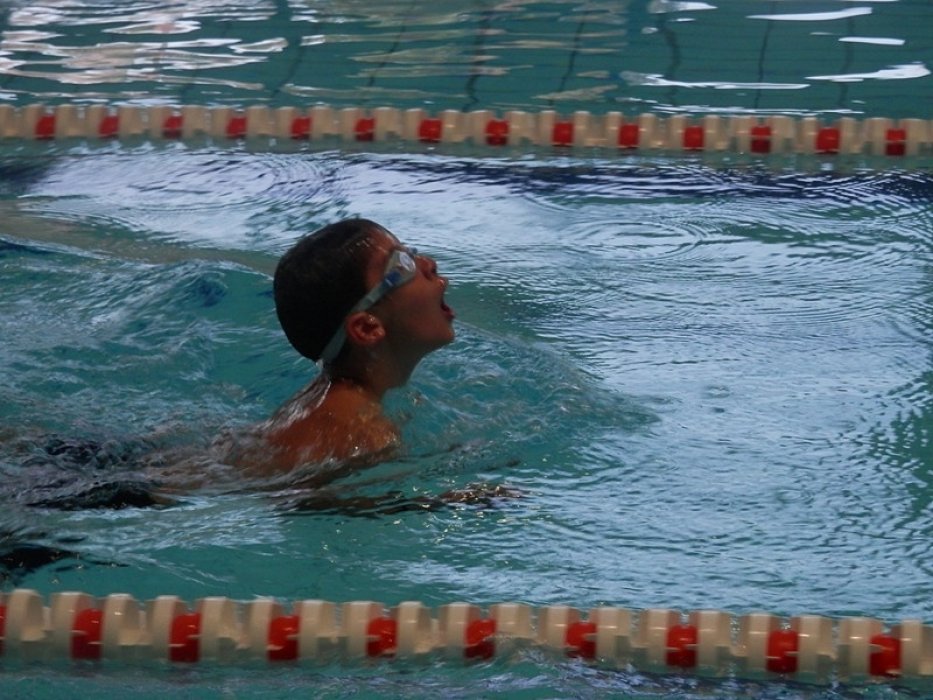 Zabezpečení plaveckého výcviku