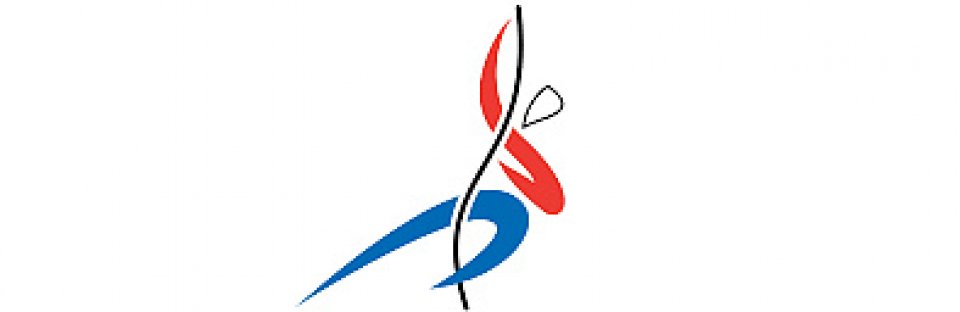 Silový čtyřboj
